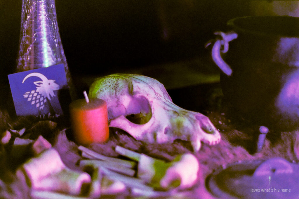 Photo of a pile of bones next to a cauldron.  A coyote skull is in centre focus.